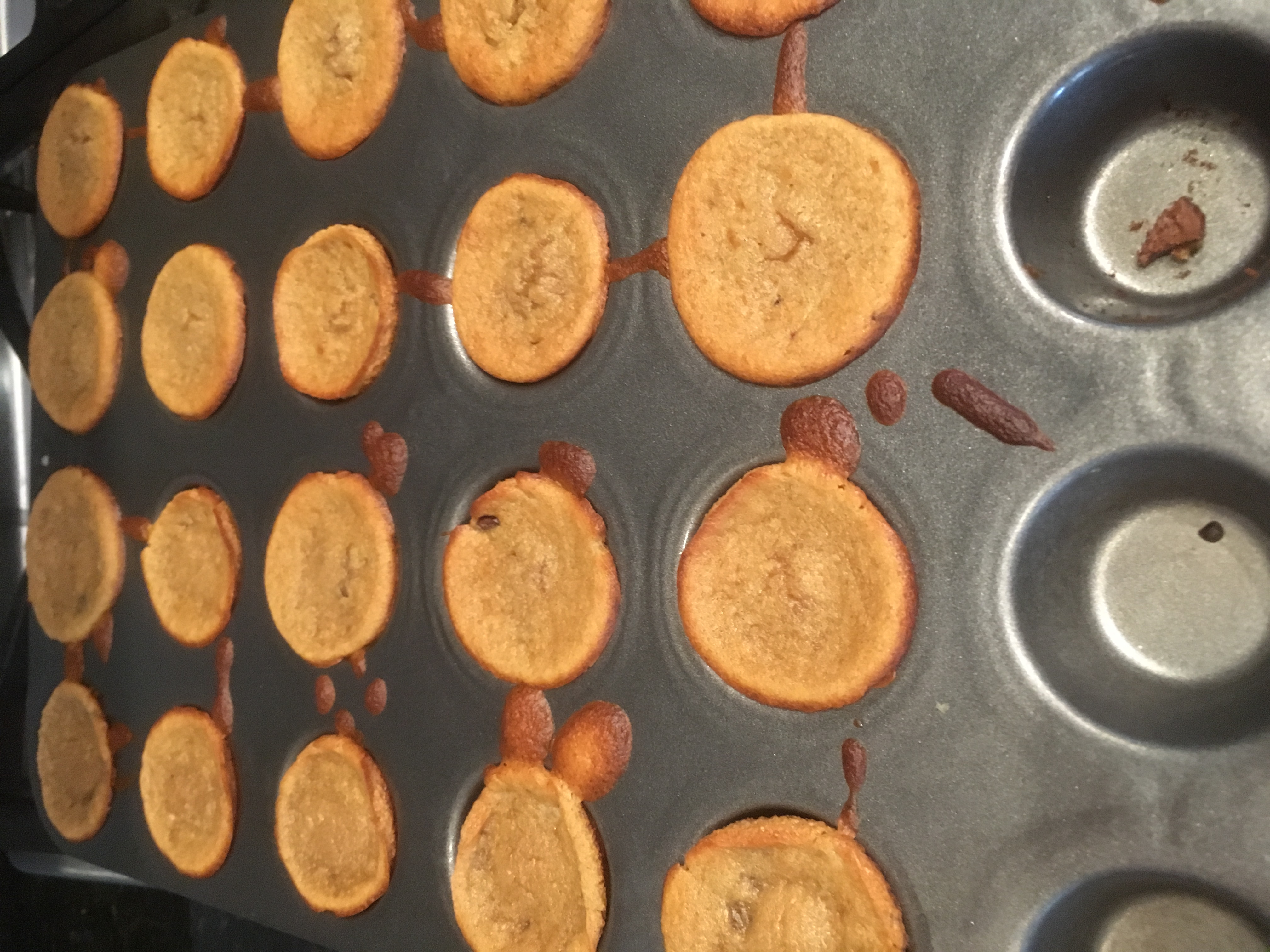 Flourless Peanut Butter Chocolate Chip Mini Blender Muffins