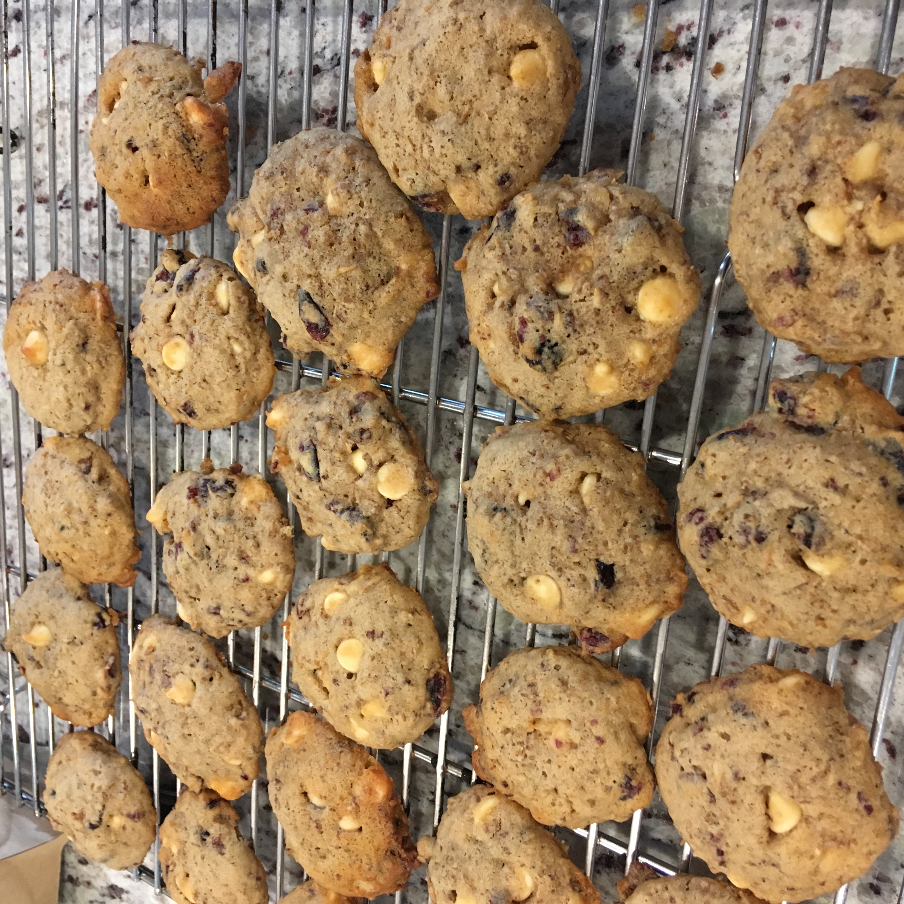 Cranberry White Chocolate Chip Cookies with Spent Grain
