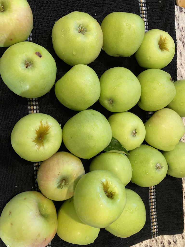 Apple Butter Season!