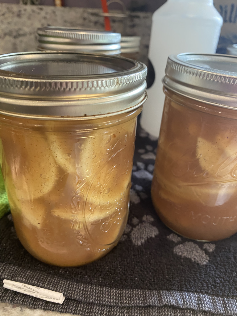 Apple Pie Filling (canning)